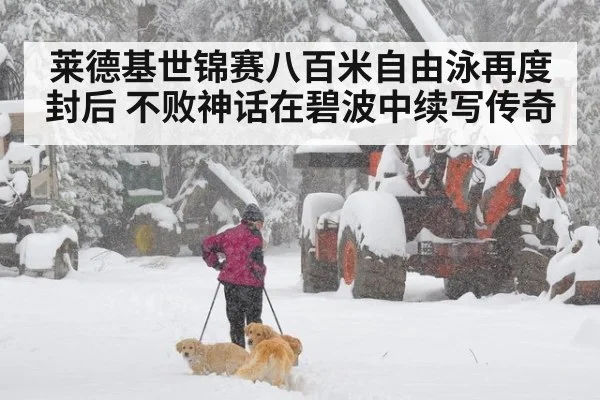莱德基世锦赛八百米自由泳再度封后 不败神话在碧波中续写传奇