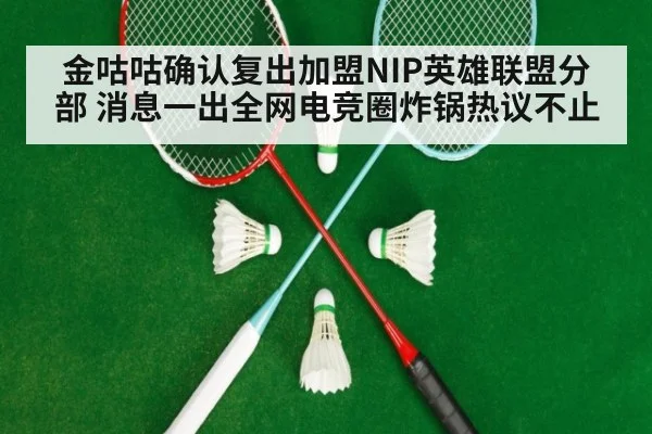 金咕咕确认复出加盟NIP英雄联盟分部 消息一出全网电竞圈炸锅热议不止